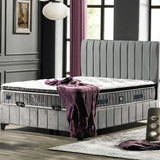 Alegra Set | Online Specijal