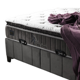 Alegra Set | Online Specijal