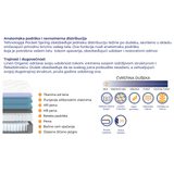 Linen Organic Set | Online Specijal